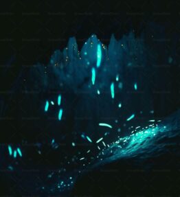 Glühwürmchen in einer Höhle